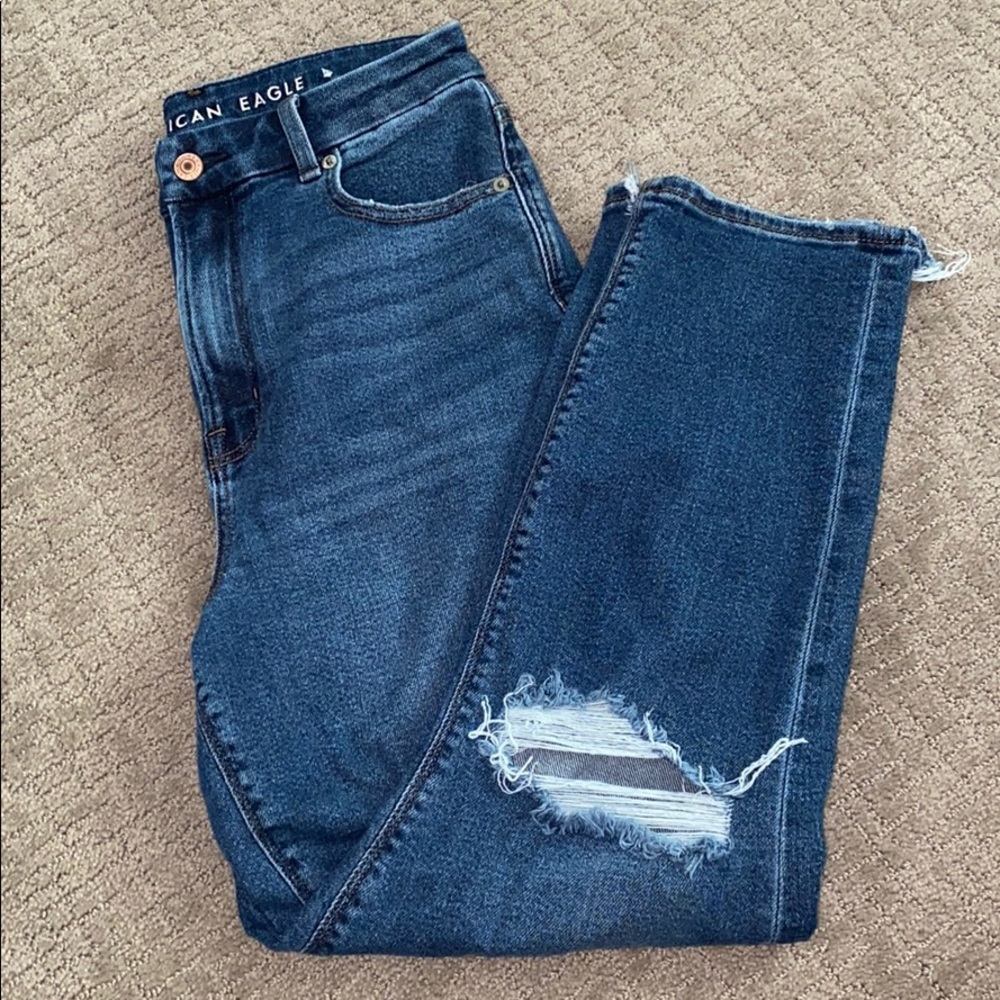 AE Curvy Mom Jean 4 Short